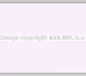 43c56f43fd2d5baf0e15eca6e5773bb87bb155ad