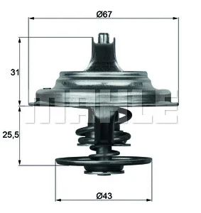 f31458347c39a85a5cfd1fecf2a015407e046937 1
