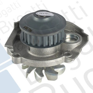ac83bf8327e22c56cbe173ab505a0b73